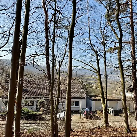 Heaven Homes - Traumhafter Ausblick Am Wald באד דריבורג