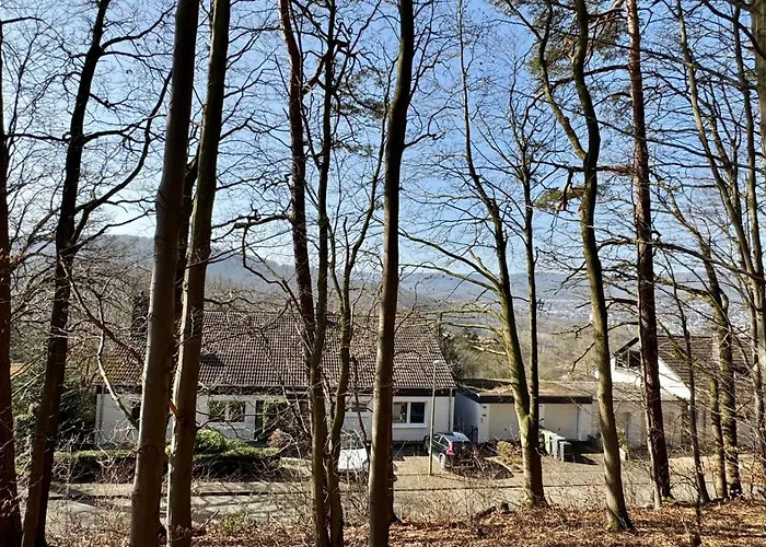 Heaven Homes - Traumhafter Ausblick Am Wald באד דריבורג